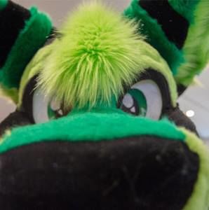 Meet your Posher, Giz